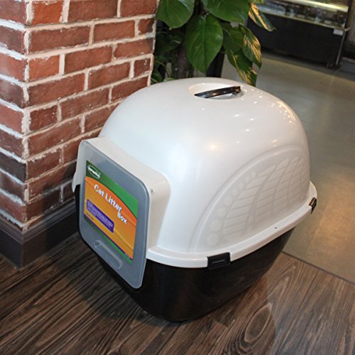 favorite jumbo box extra large