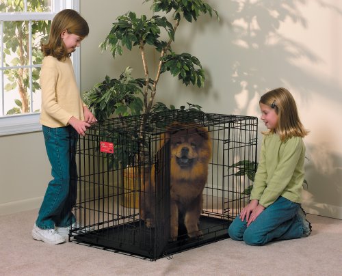 dog crate 36x24x27