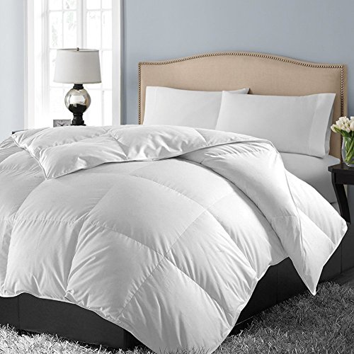 1 000 Thread Count Egyptian Cotton Oversized Comforter Full Queen 1 000 Thread Count Egyptian Cotton Oversized Comforter Full Queen