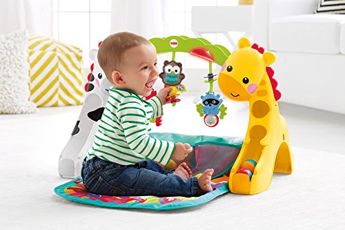 Fisher Price Newborn To Toddler Play Gym Check Back Soon Blinq