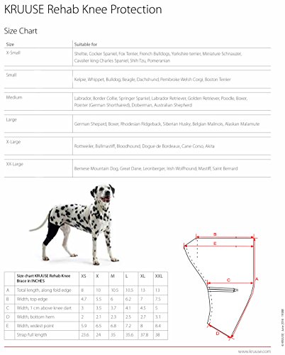 kruuse dog knee brace