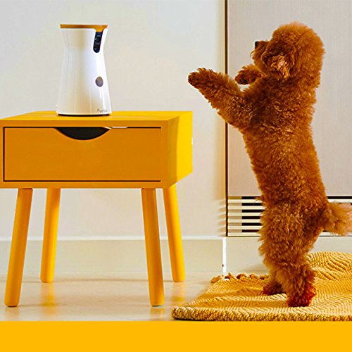 Furbo Treat Tossing Dog Camera 720p Hd Wi Fi Cam With 2 Way Audio Furbo Treat Tossing Dog Camera 720p Hd Wi Fi Cam With 2 Way Audio Night Vision Barking Alert