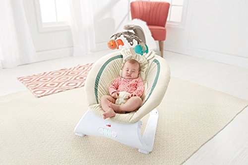 fisher price soothing savanna deluxe bouncer
