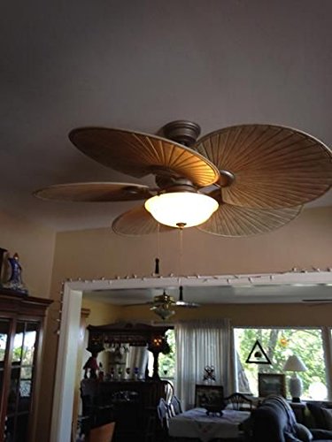 Hampton Bay Havana 48 Inch Outdoor Natural Iron Ceiling Fan 51227