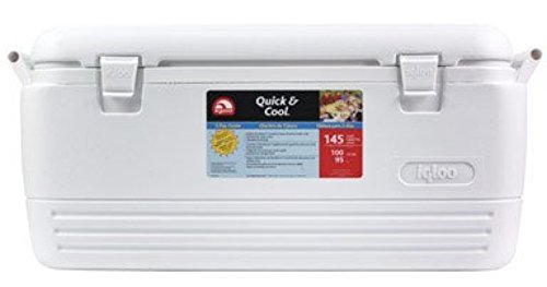 igloo quick and cool 100