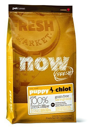 Now Fresh Grain Free Puppy Recipe Dry Dog Food Now Fresh Grain Free Puppy Recipe Dry Dog Food