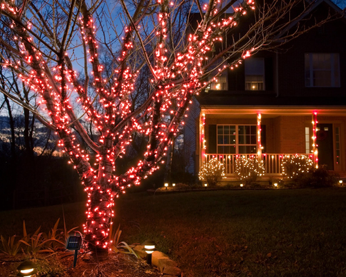 Wonder Lights String Of 100 Led Solar Ed Fairy Red Wonder Lights String Of 100 Led Solar Ed Fairy Red 17m