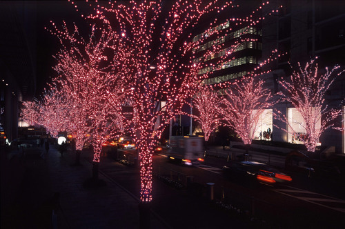 Wonder Lights String Of 100 Led Solar Ed Fairy Red Wonder Lights String Of 100 Led Solar Ed Fairy Red 17m