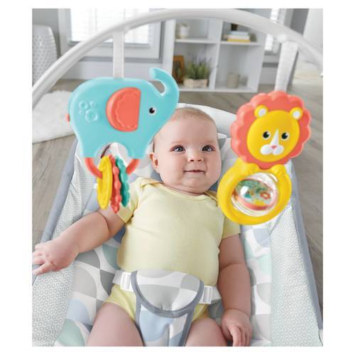 fisher price fold flat bouncer