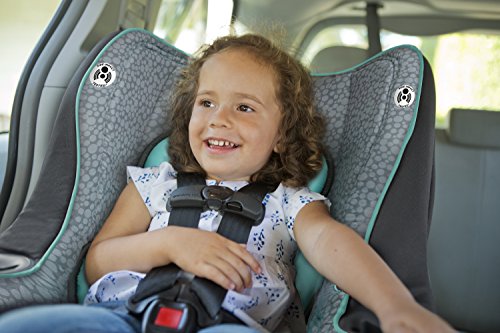 graco my ride 65 sully